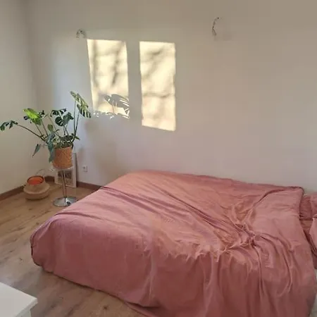 4 Pieces A 20 Minutes De Paris - 60m² Apartmán Argenteuil